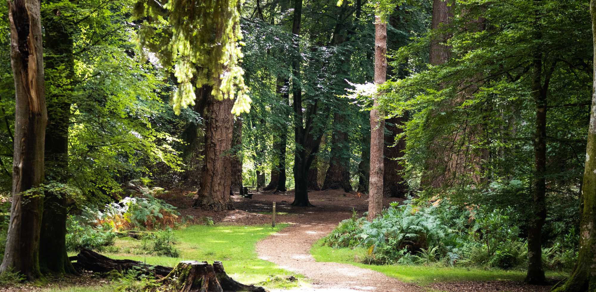 BlackWaterPathCropped