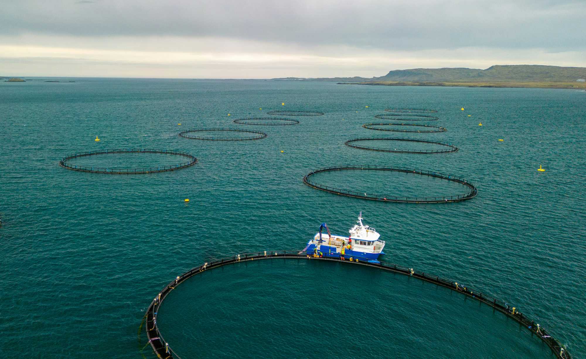 Aquaculture - Photo by Ed Wing